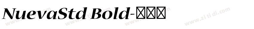 NuevaStd Bold字体转换